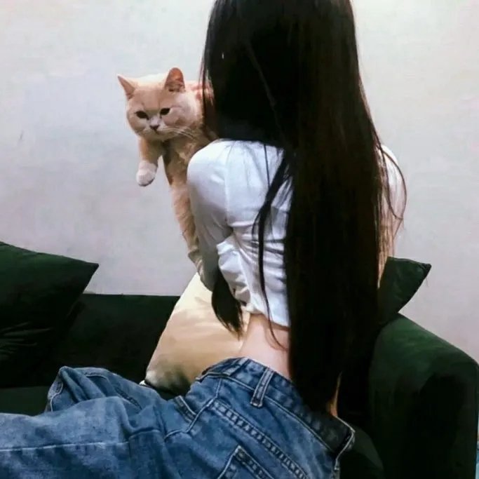 昨日良妻 在线观看